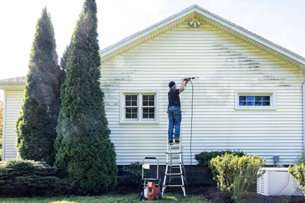 Best Roof Washing  in League City, TX