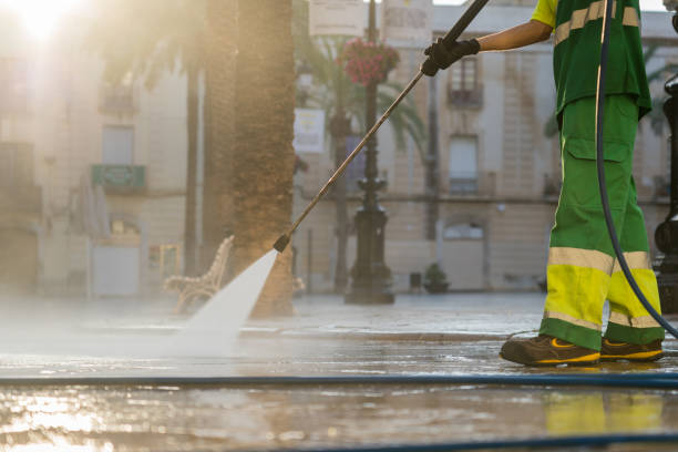Animal Enclosure Cleaning in League City, TX